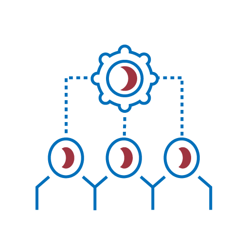 Rollenverteilung - innobit ag